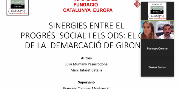 Synergies between social progress and the SDGs: The case of the demarcation of Girona
