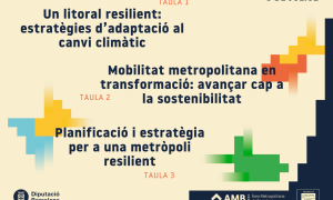 Metropolis in transformation. Planning in times of risk