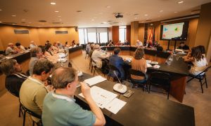 Chronicle | Metropolis in Transformation: Tackling the Climate Crisis from the Territory