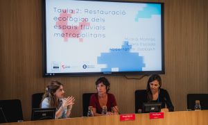 Celebrem la segona edició de